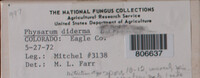 Image Associated With the Occurence